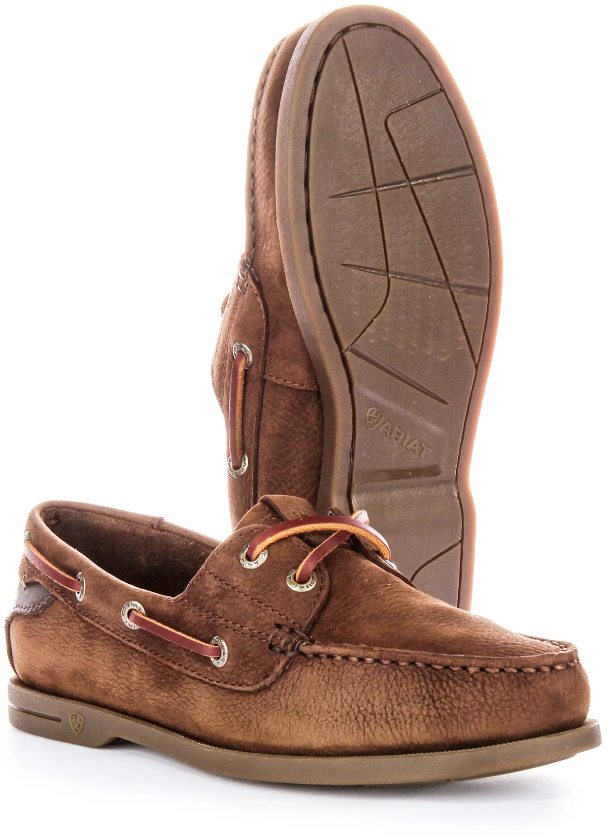 Ariat Antigua In Chocobrown For Women